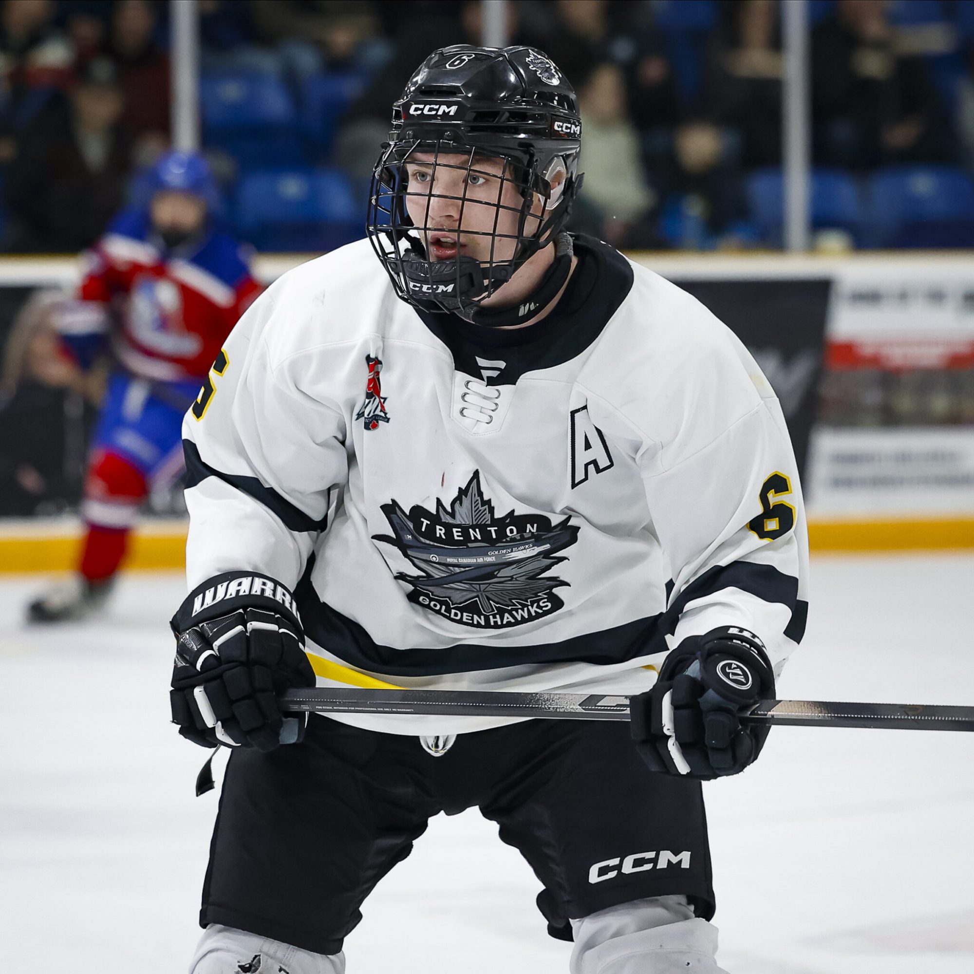 TRENTON, ON  - MARCH 29: Taeo Artichuk #6 of the Trenton Golden Hawks follows the play during the third period at the Duncan McDonald Memorial Gardens on March 29, 2025 in Trenton, ON . (Photo by Amy Wiegel / OJHL Images)